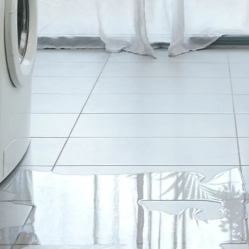 Appliance Leak Cleanup in Albia, IA