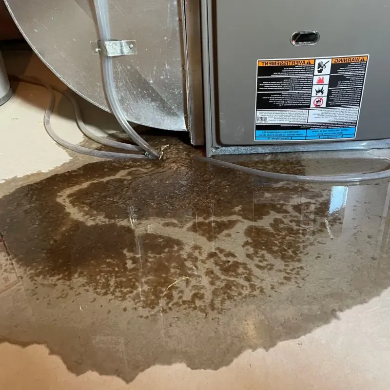 Pipe Burst and Leak Restoration in Albia, IA