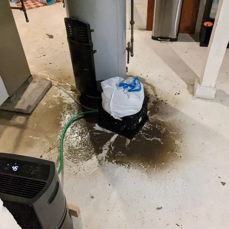 Sewage Backup Cleanup Service in Albia, IA